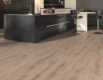 Camsan Silver