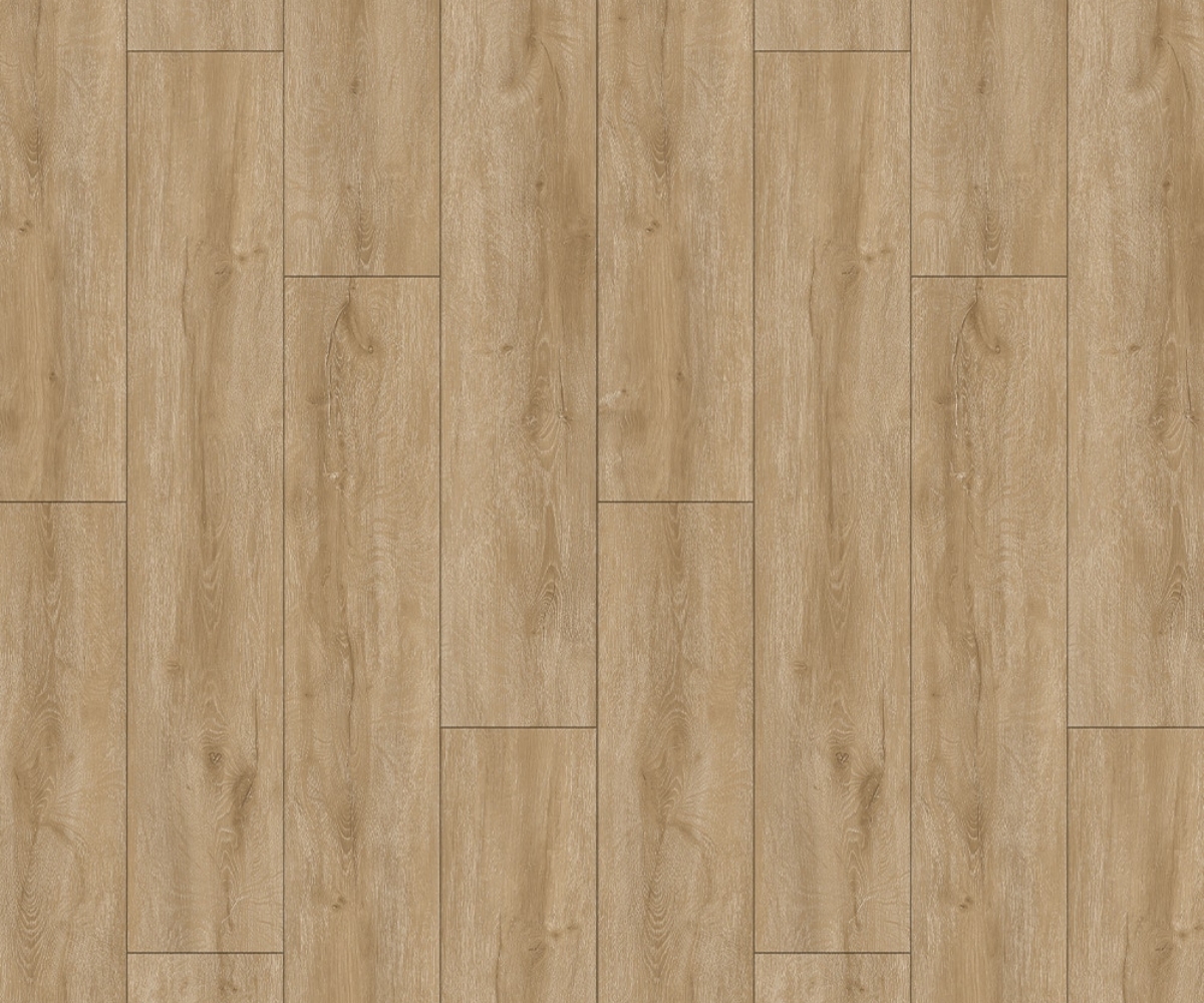 Oak Cotton