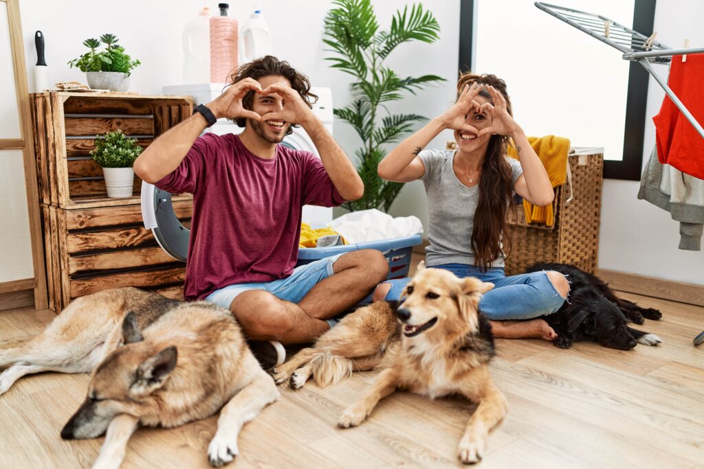 Image showing young couple with pets folding laundry whilst sitting on their laminate floor