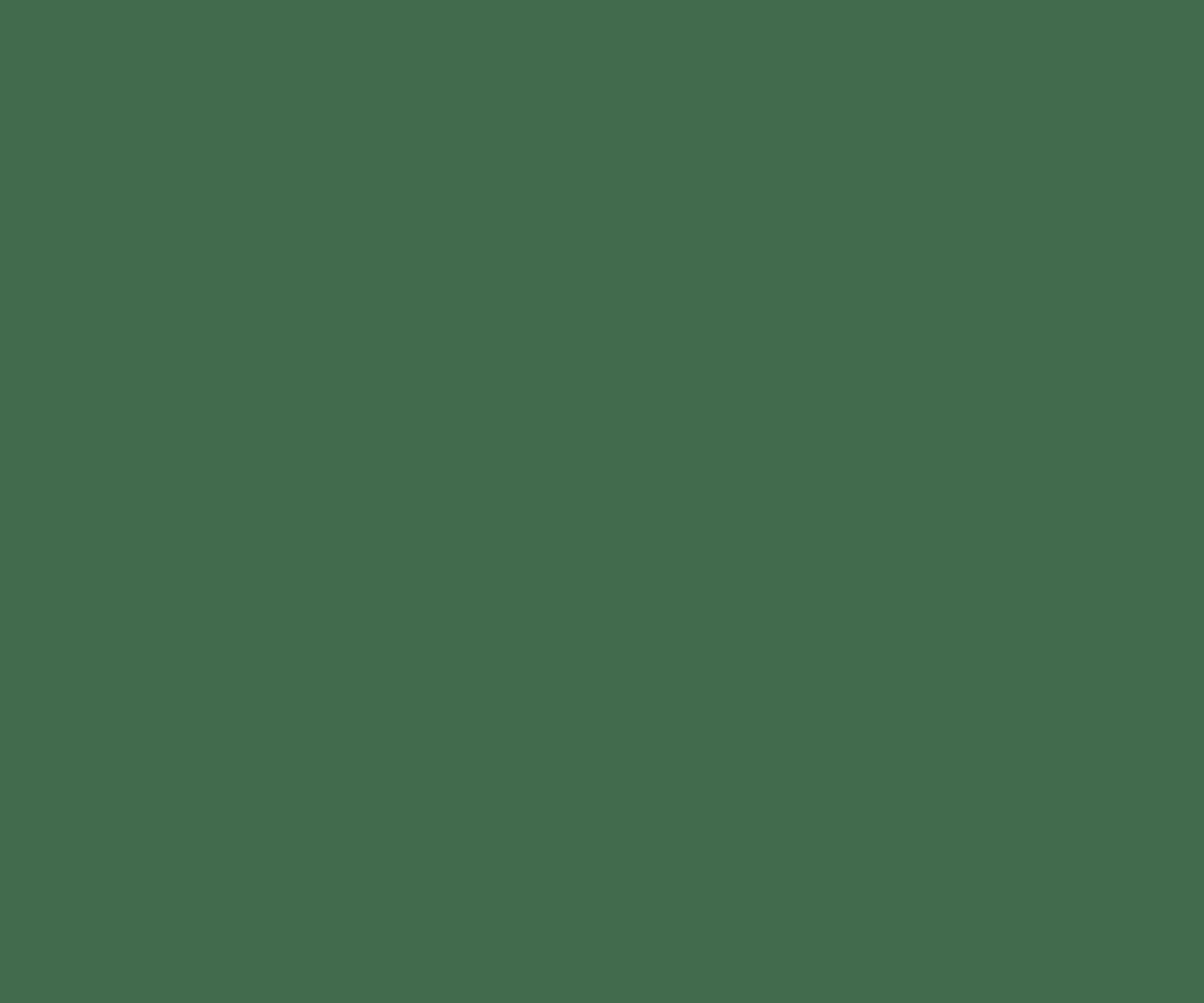Waterproofing Topcoat - Green