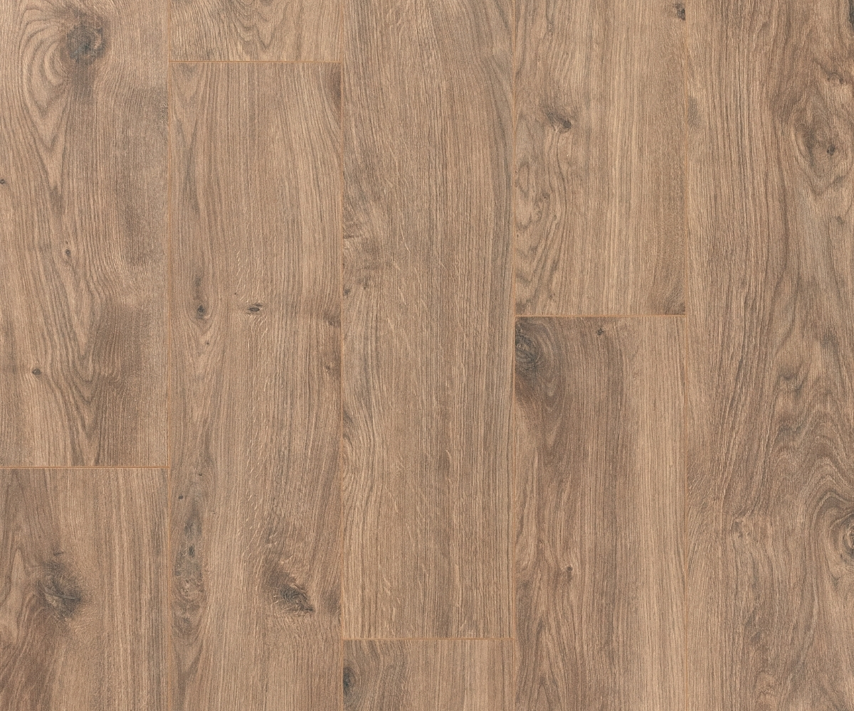 Cadenza Allegro Brown PSH