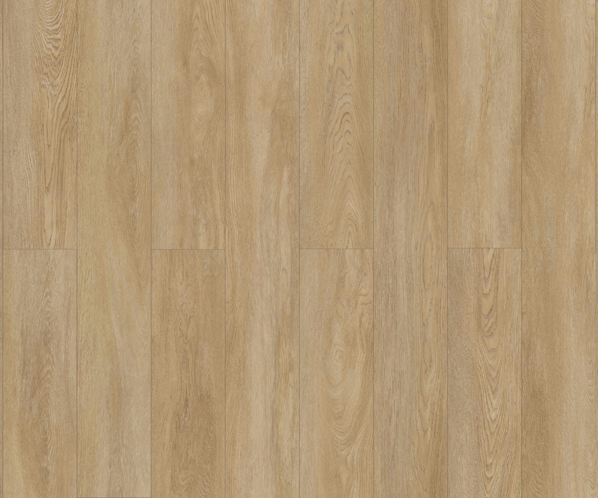 Camsan Silver Atlas Oak