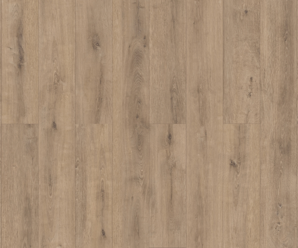 Camsan Silver Sakarya Oak