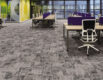 Sirius Stellar Lifestyle